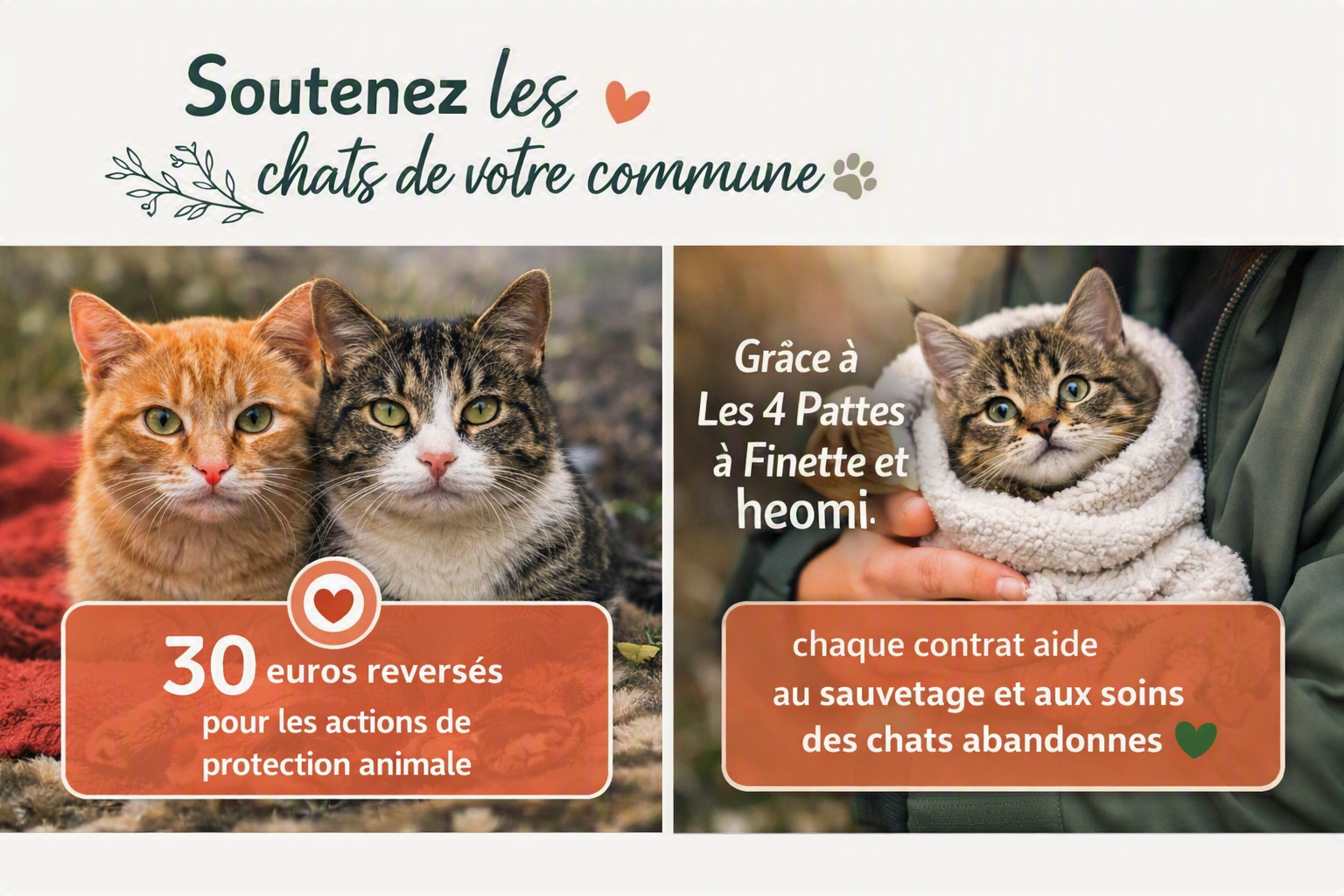 Pension Les 4 pattes à Finette