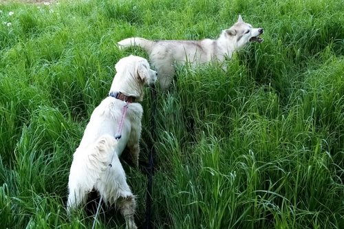 Uby & Nyméria